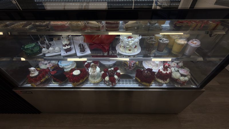 The cake case from the front, two lit shelves of decorated cakes
